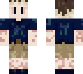 ply skin