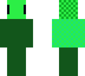 turtle skin