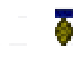 blue hoodie turtle