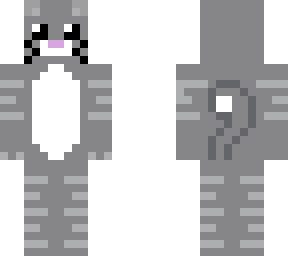 fluffy gray tabby cat cute