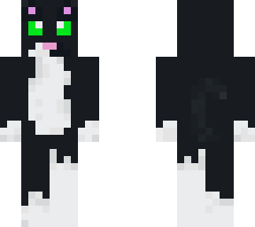 oreo the cat
