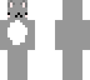 cute kitty