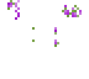 jacinthe