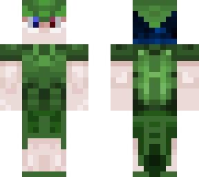 turtle man
