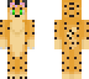 cheetah