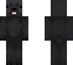 bear