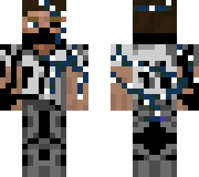 steve upgrade