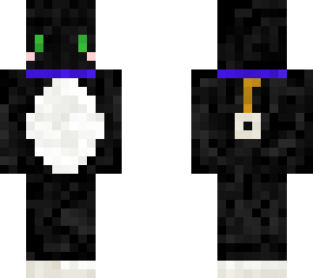 black and white kitten