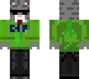gray cat with green hoodie