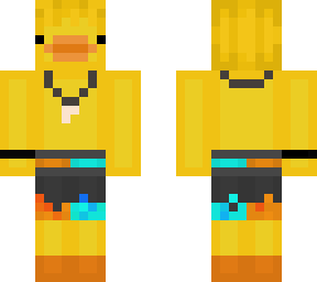 surfeur duck