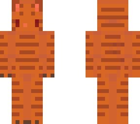 birchpaw // warriors oc