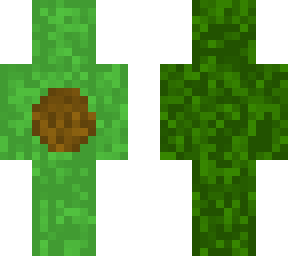avocado+casual
