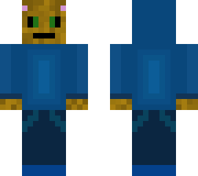 cat with blue hoodie