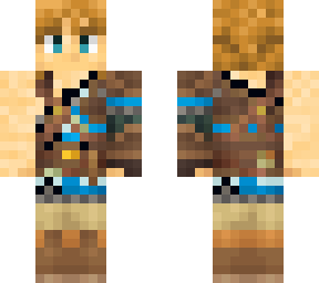 link (damaged)
