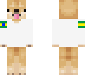 mr doge brazil