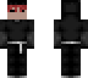 the red ninja