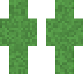 camo 2