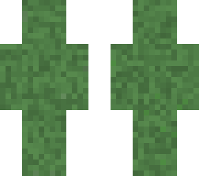 camo 3