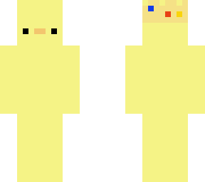 plain duck