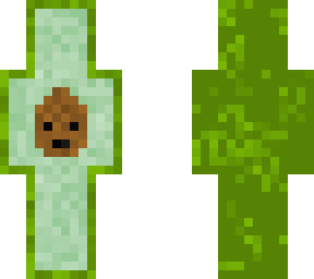 avacado
