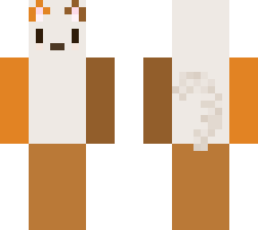 calico cat