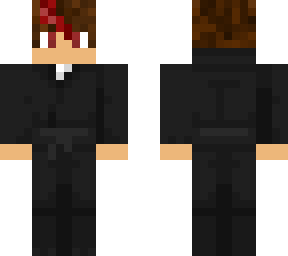 ninja s.g