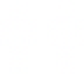 template for skins