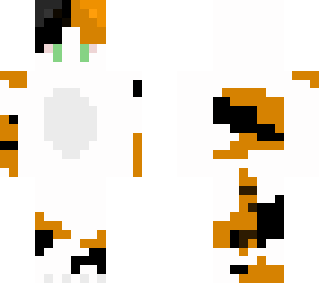 calico cat