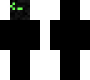 terminal skin 2.0