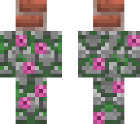 bricks