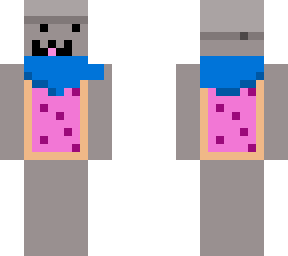 nyan cat with a tinpot and scarf