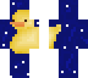 night pixelart duck