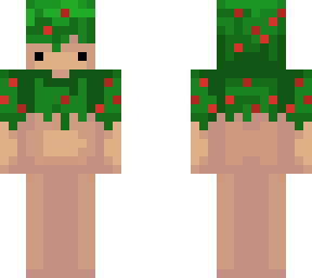 christmas skin