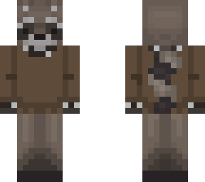 sweater racoon