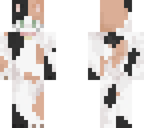 calico cat