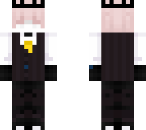 roomba skin