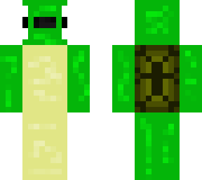 turtle guy
