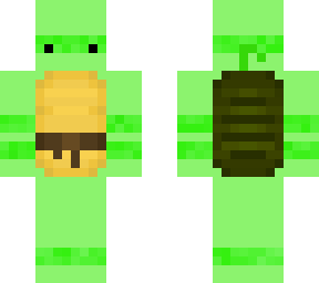 tortuga ninja