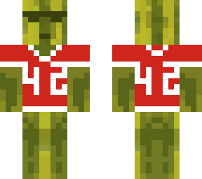 melon skin