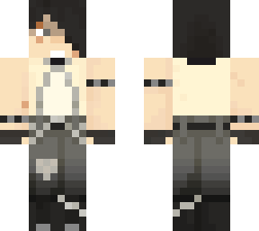 pip 2