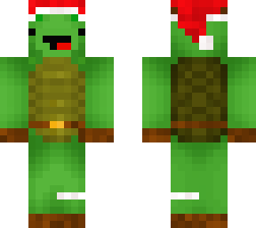 the turtle spirit of christmas
