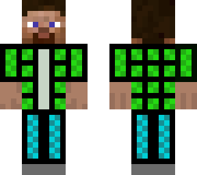 steve 2013