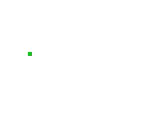 black ant wearing a green swetter