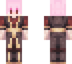 swnei icc skin