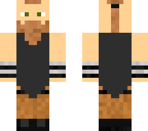 basic viking