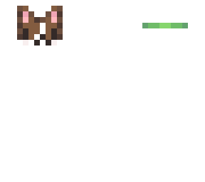 brown tabby cat // ab