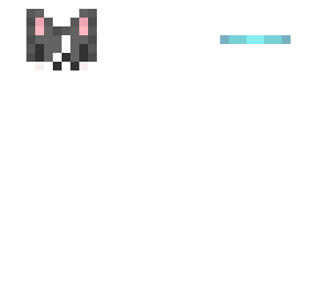 gray tabby cat // ab