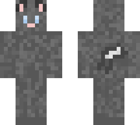 grey cat