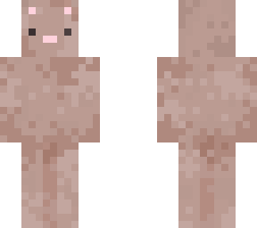 kitty