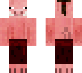 pig 8